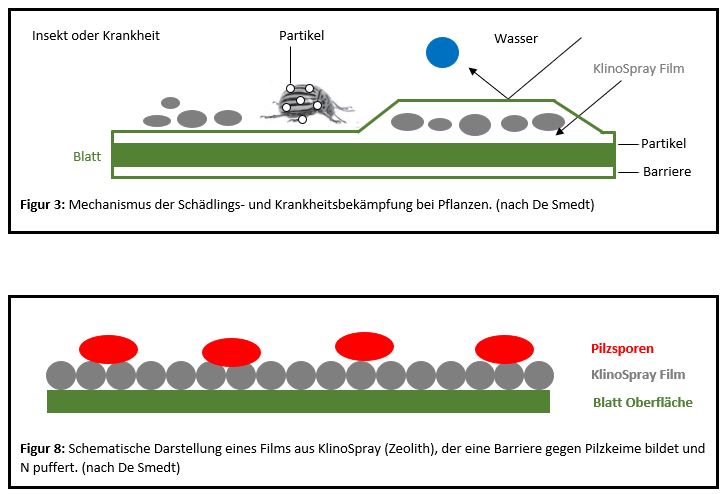 Wirkung Klinospray